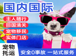 遵义茅台航空空运国际宠物托运 【国